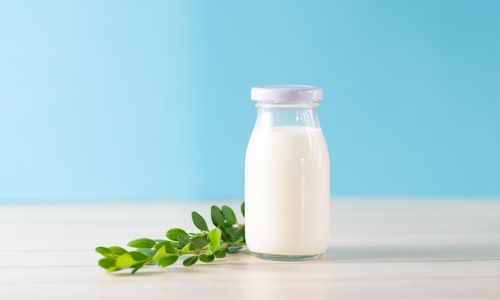 Sharma Dairy Products